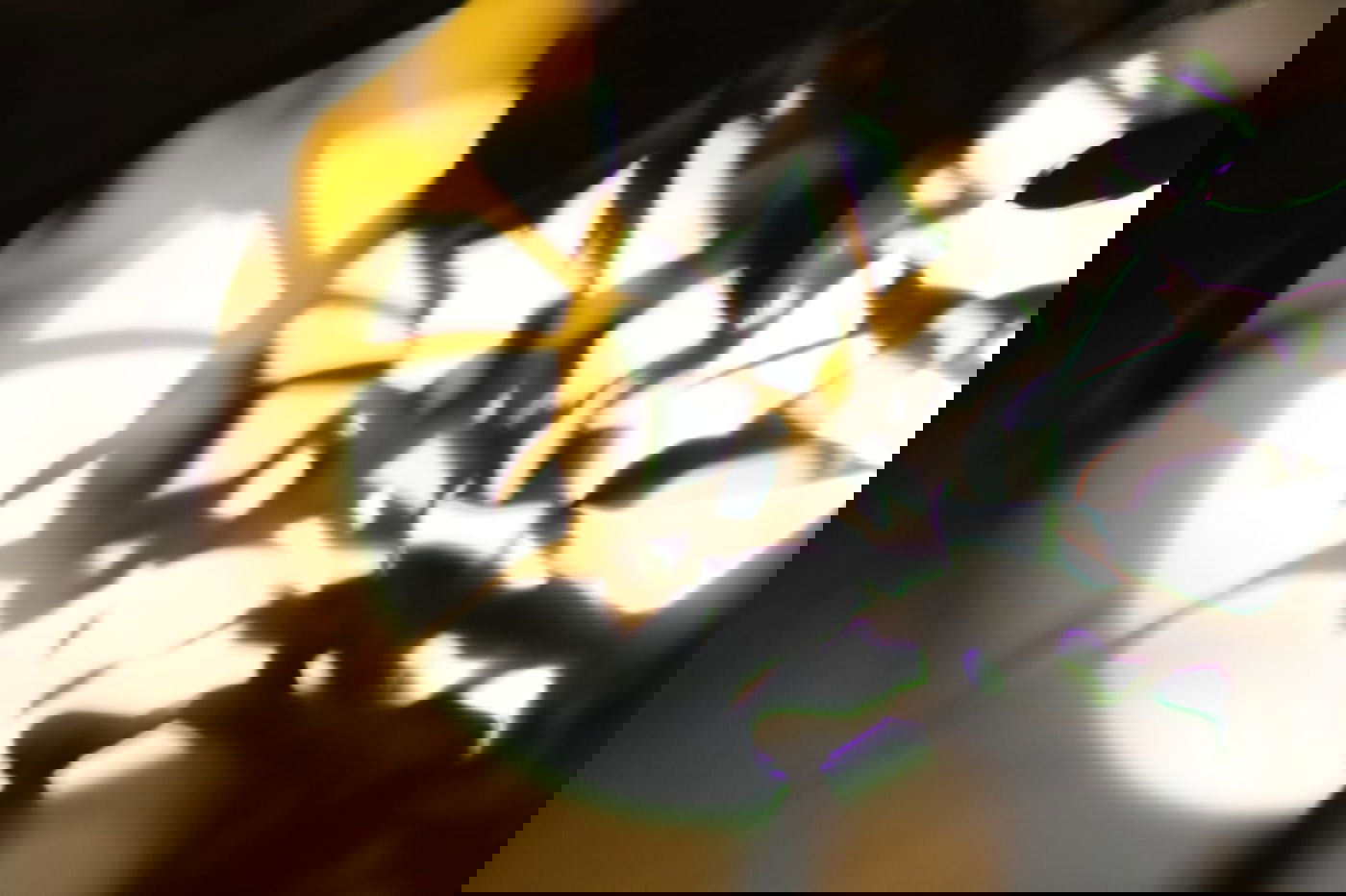 לפני הגשמים • תיעוד מיוחד מצפון ים המלח