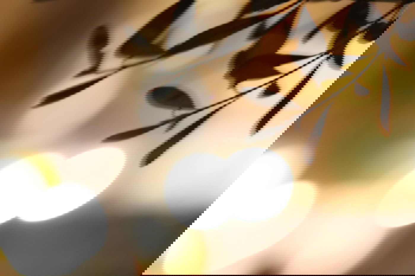 לפני הגשמים • תיעוד מיוחד מצפון ים המלח