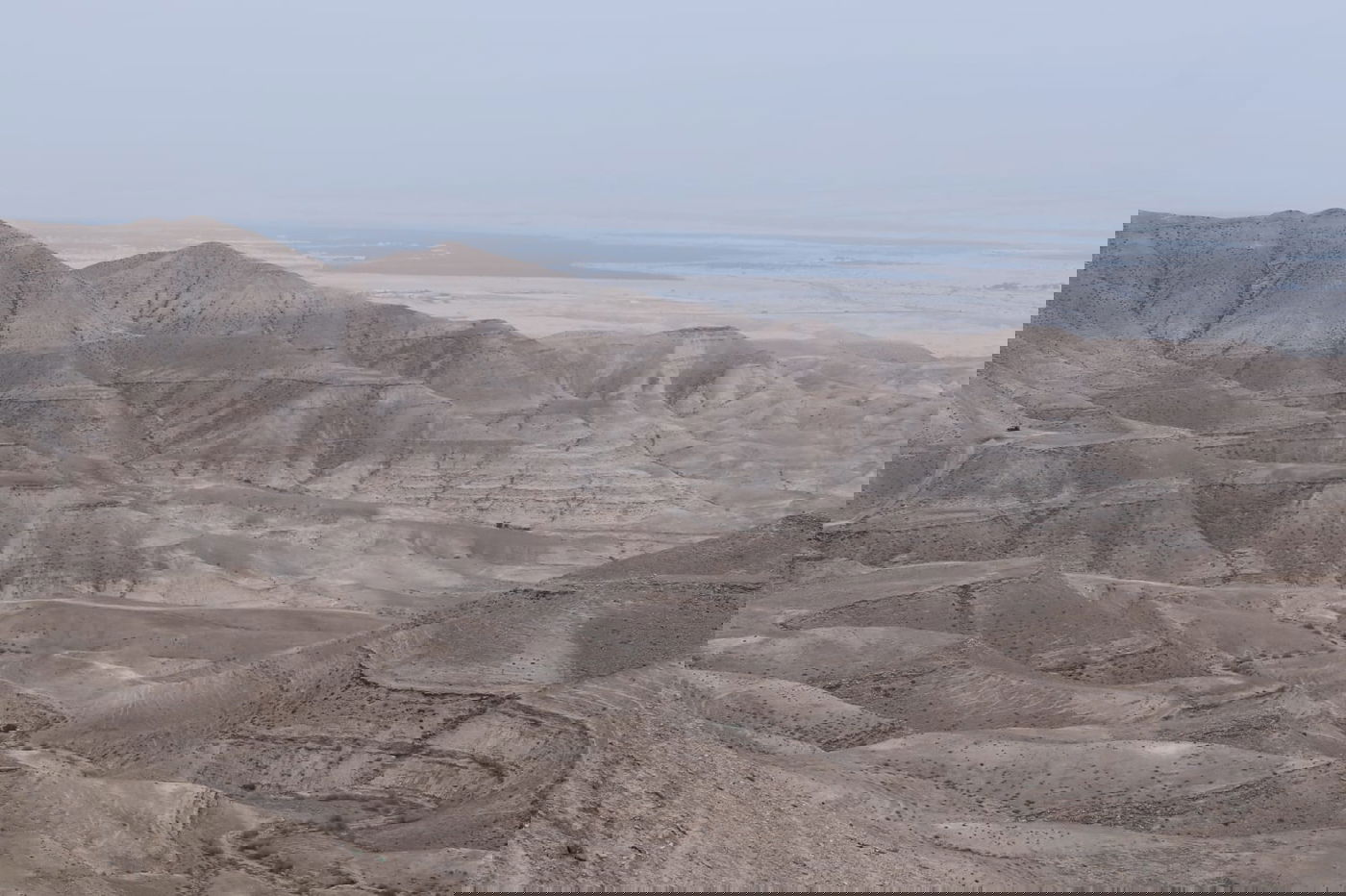 לפני הגשמים • תיעוד מיוחד מצפון ים המלח