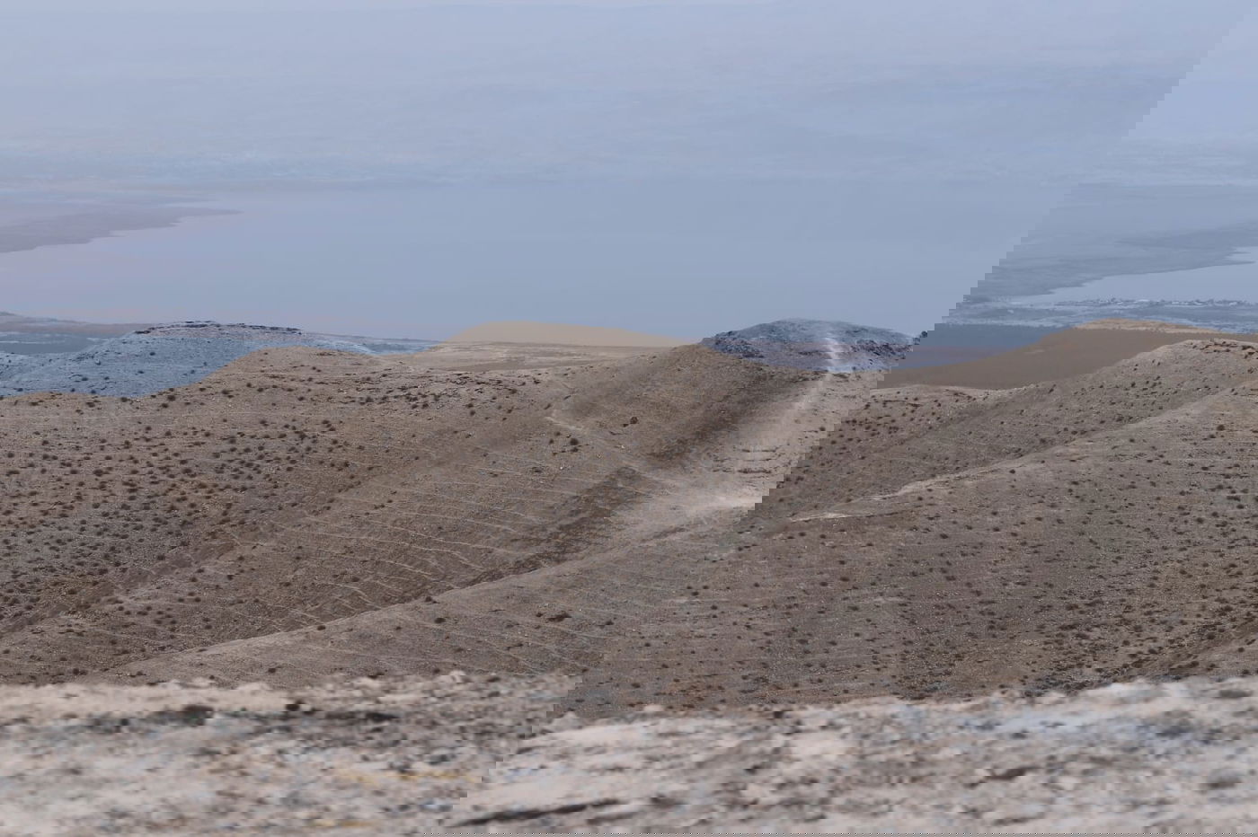 לפני הגשמים • תיעוד מיוחד מצפון ים המלח