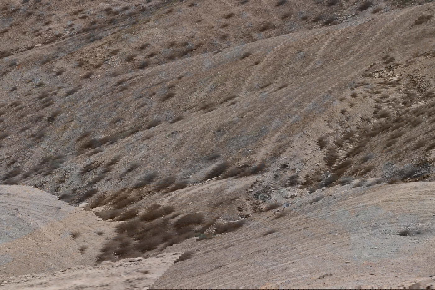 לפני הגשמים • תיעוד מיוחד מצפון ים המלח