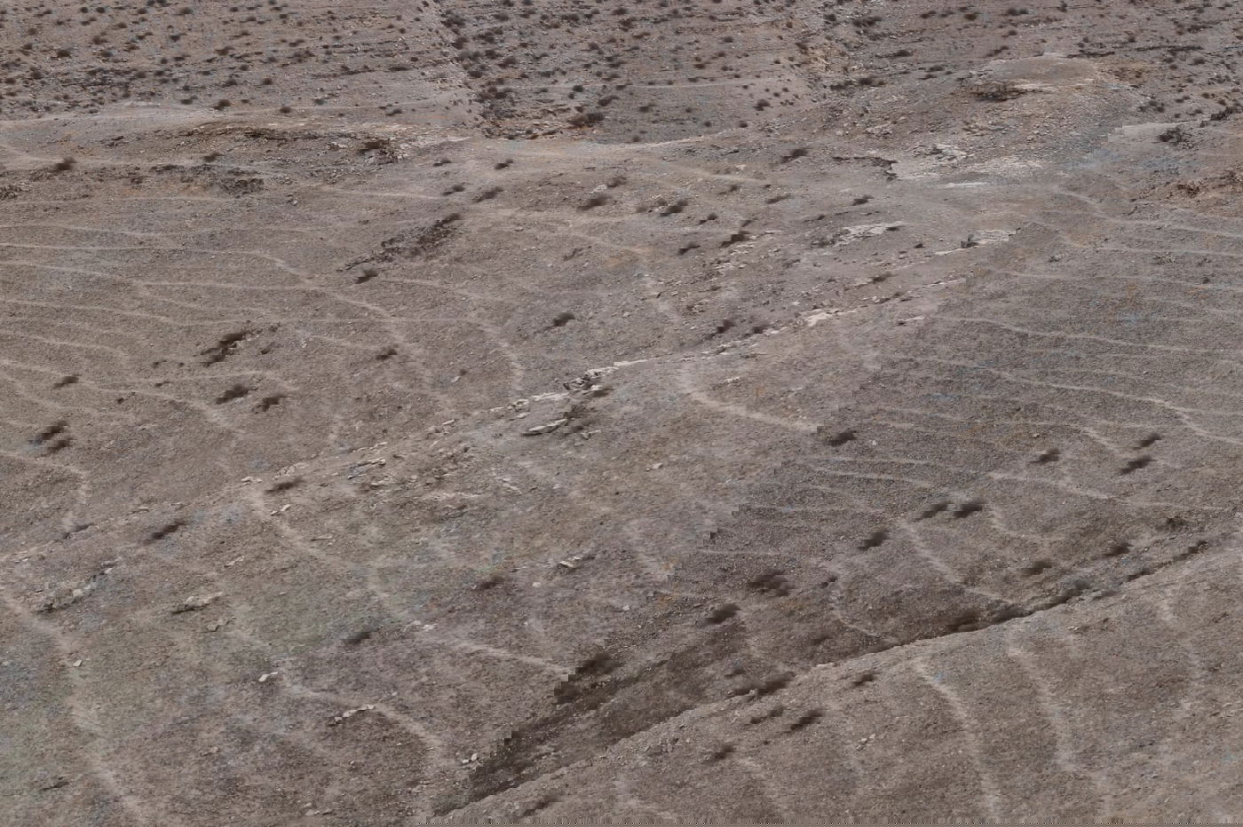 לפני הגשמים • תיעוד מיוחד מצפון ים המלח