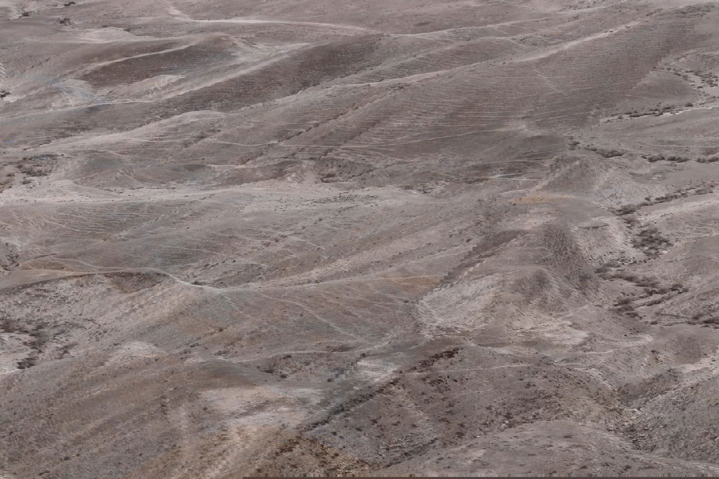 לפני הגשמים • תיעוד מיוחד מצפון ים המלח