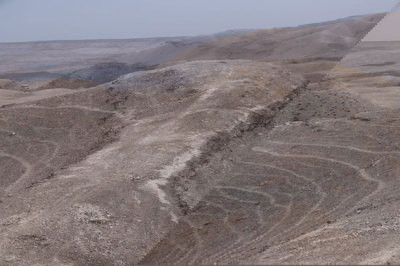לפני הגשמים • תיעוד מיוחד מצפון ים המלח