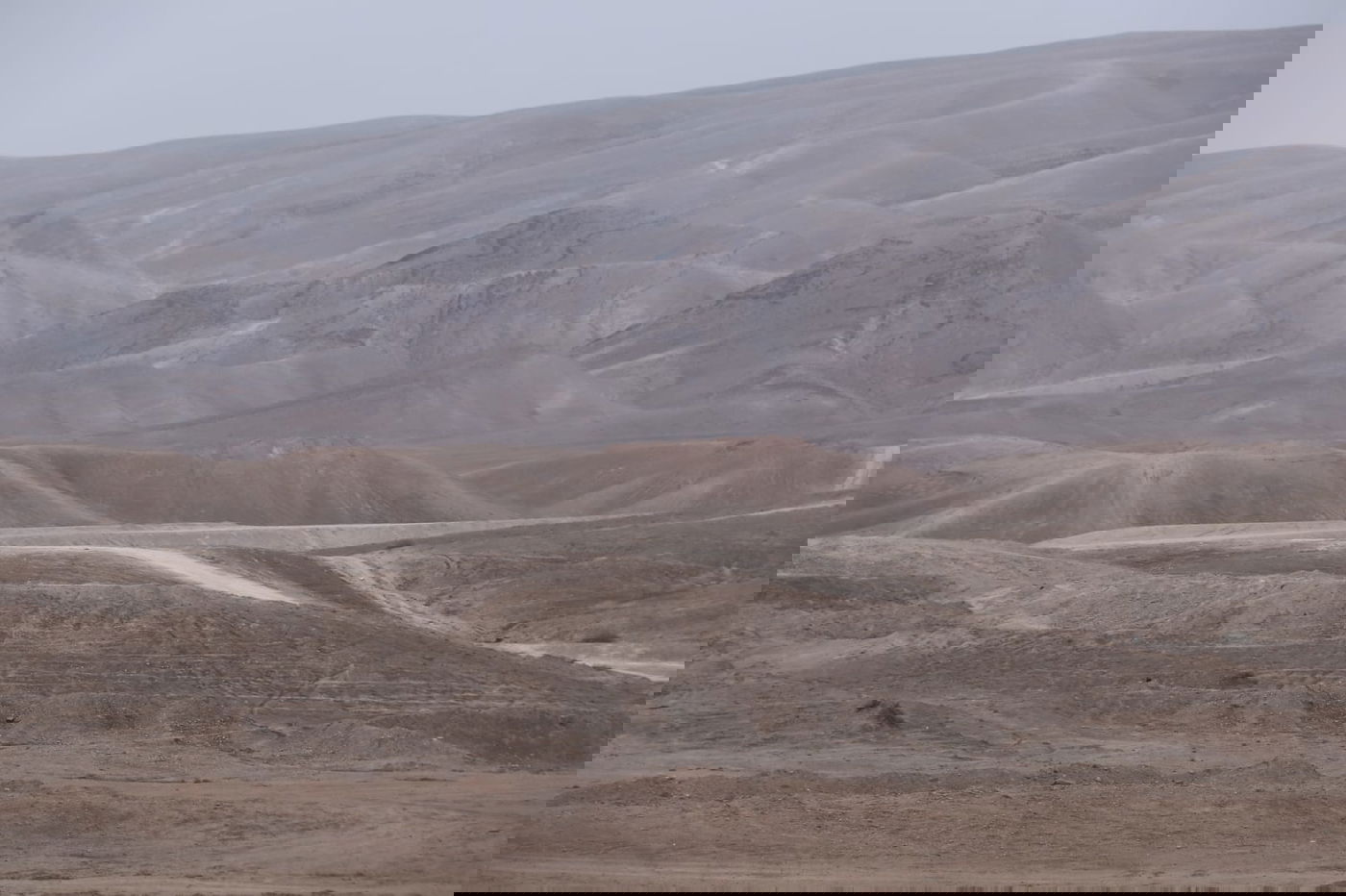 לפני הגשמים • תיעוד מיוחד מצפון ים המלח