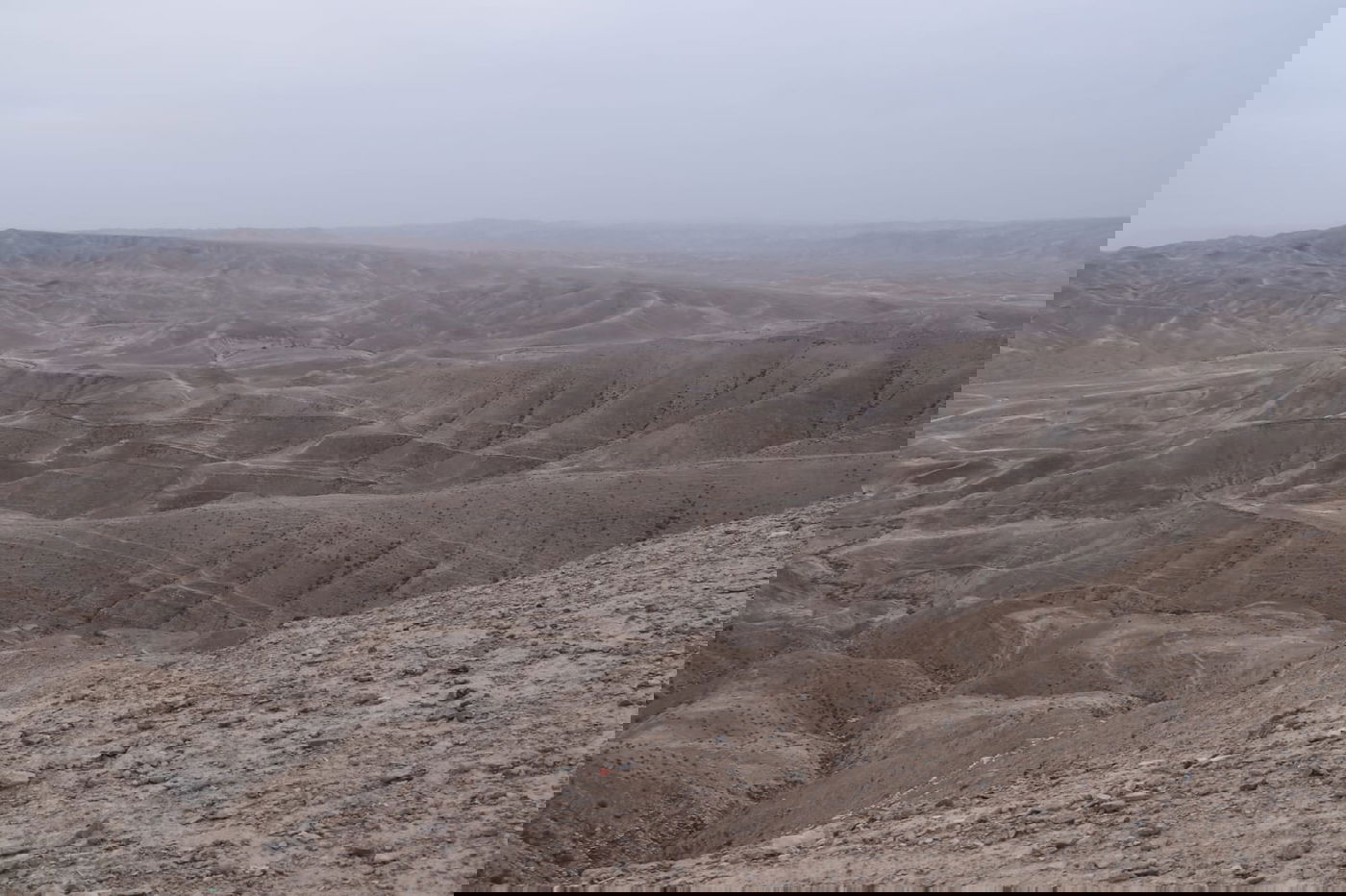לפני הגשמים • תיעוד מיוחד מצפון ים המלח