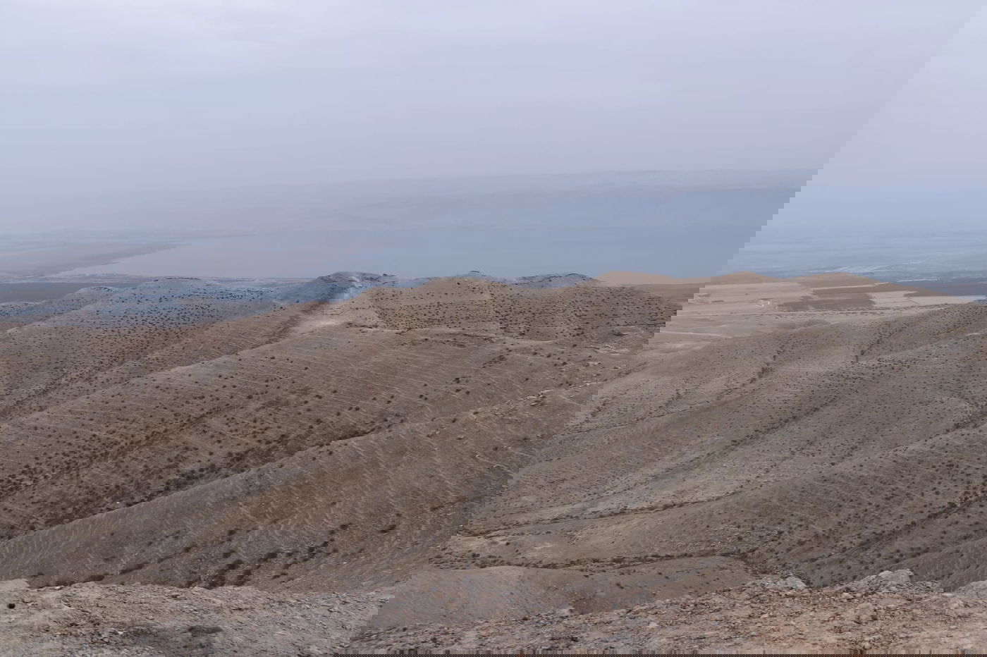 לפני הגשמים • תיעוד מיוחד מצפון ים המלח
