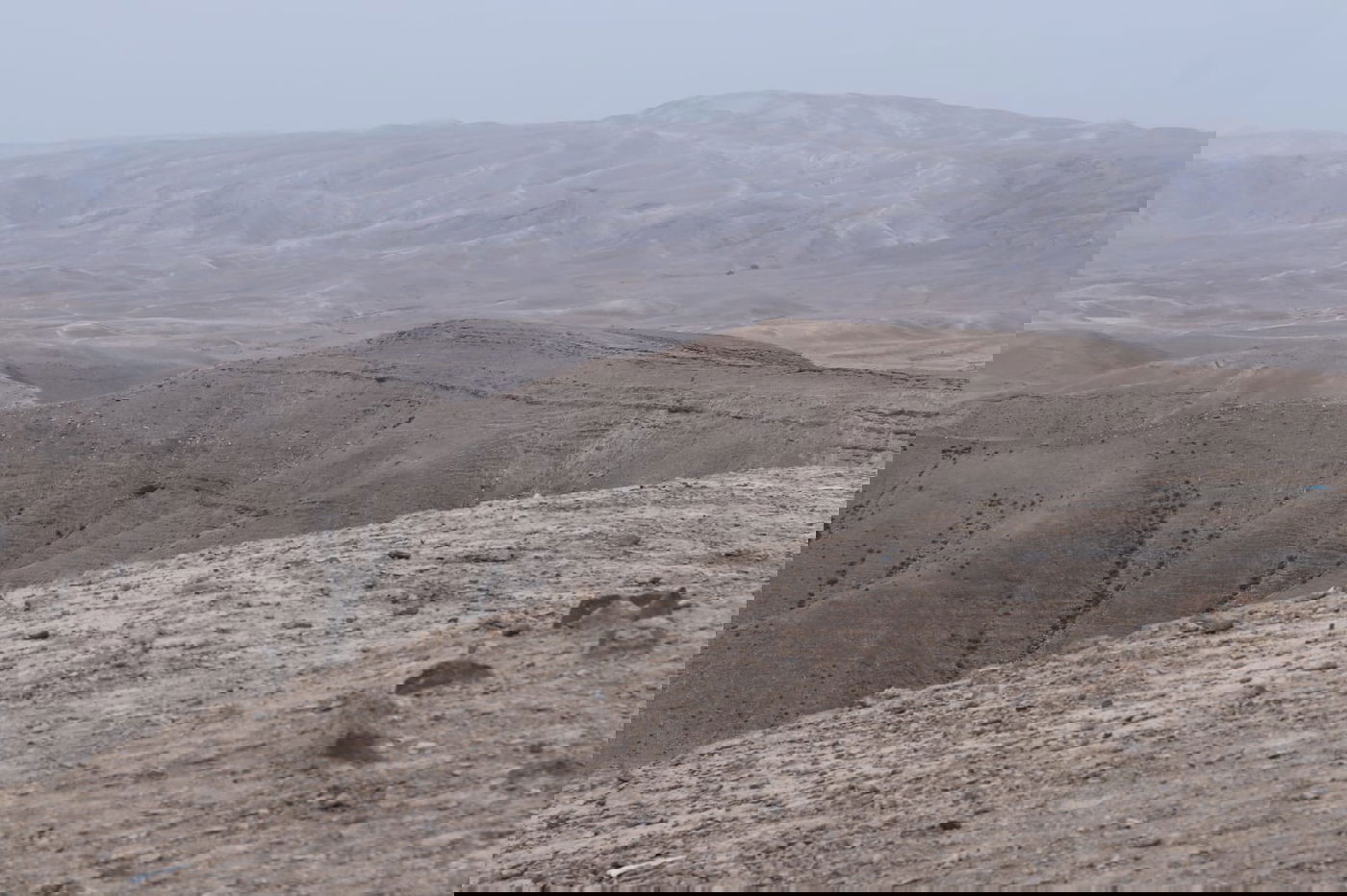 לפני הגשמים • תיעוד מיוחד מצפון ים המלח