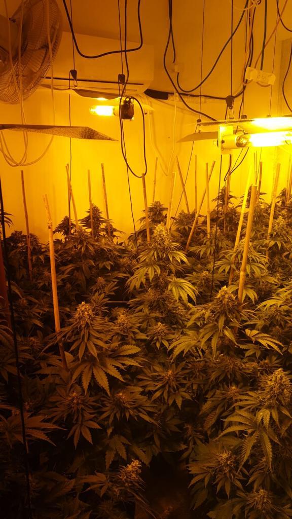 שני תושבי בני ברק חשודים בהפעלת מעבדת סמים