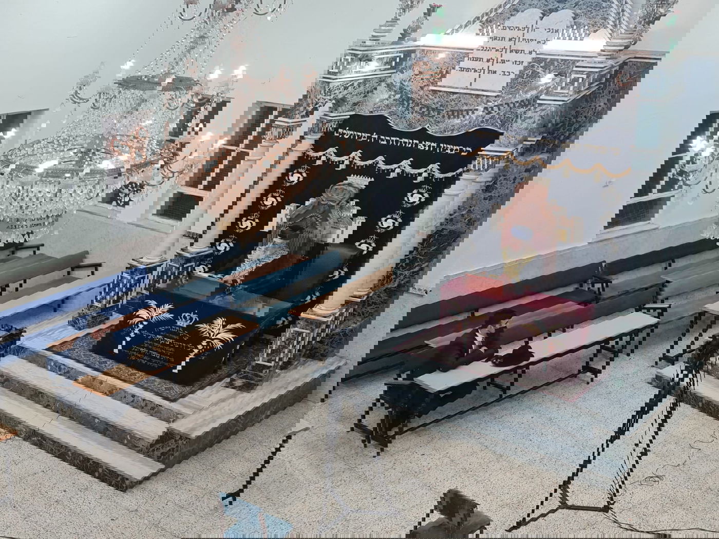 זופניק בכיכר • כל התמונות והנייעס של השבוע