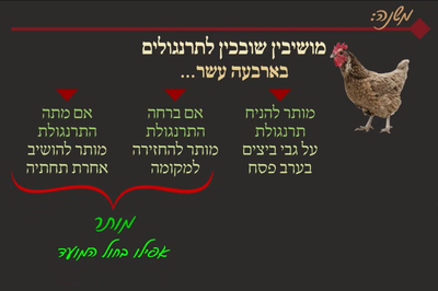 מסכת פסחים, דף נ"ה • סיכום והמחשה של הדף היומי