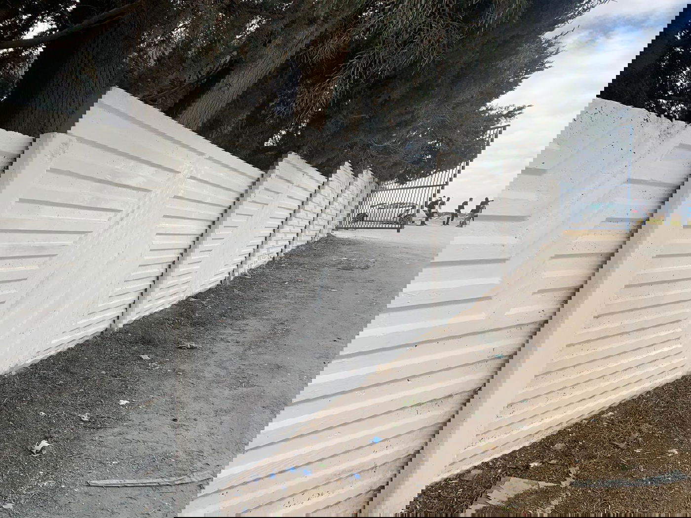 הצעירים הבדואים שיפצו את הקברים שחילל תושב הפזורה