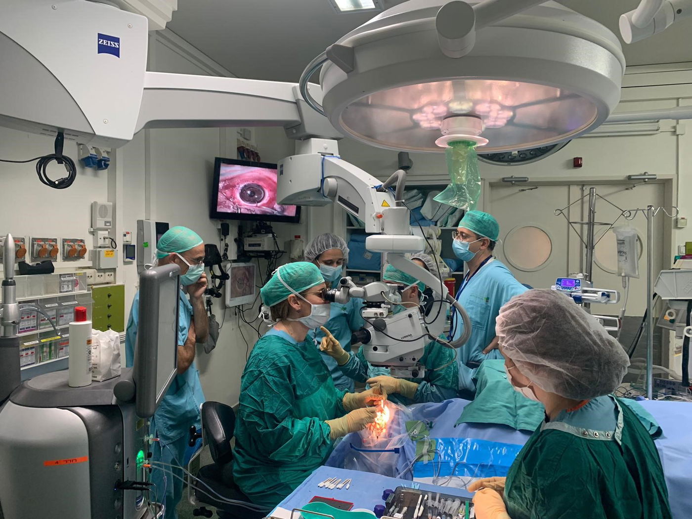 מהלך הניתוח