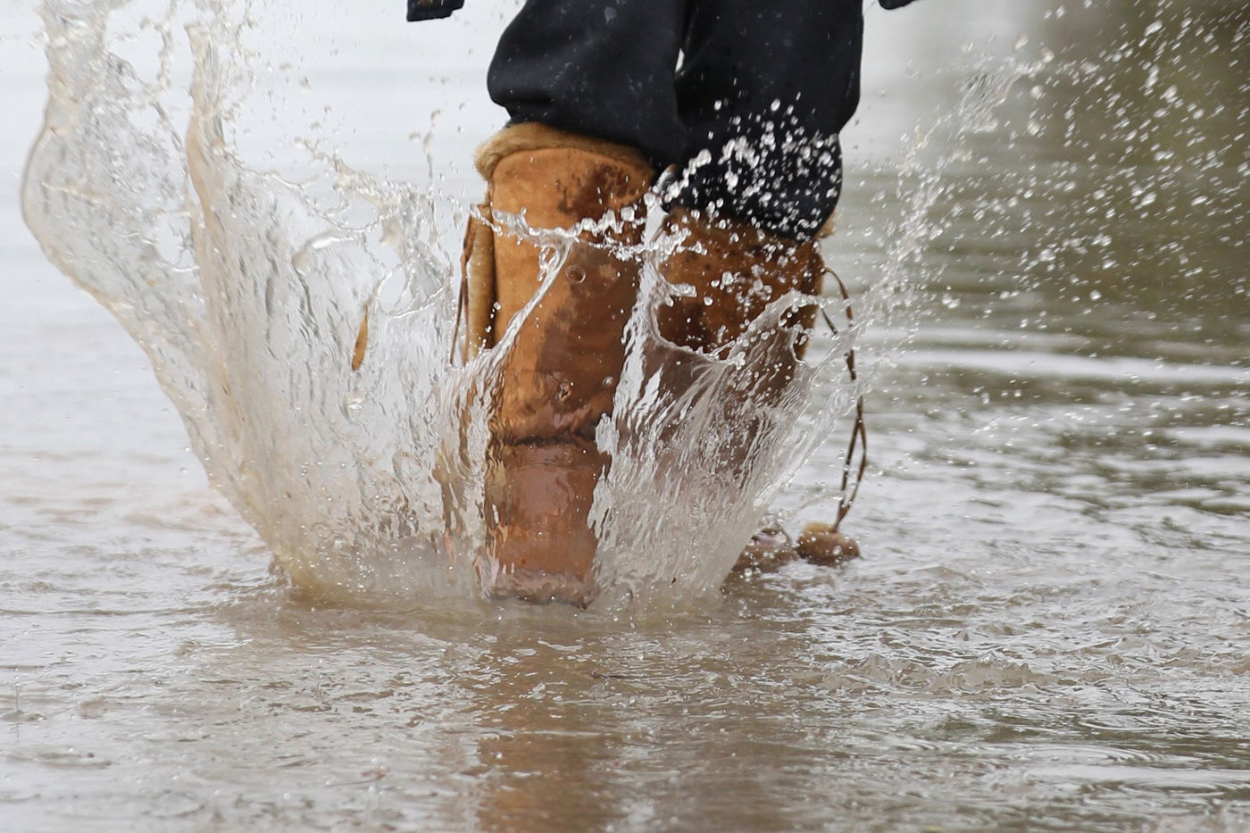 אילוסטרציה