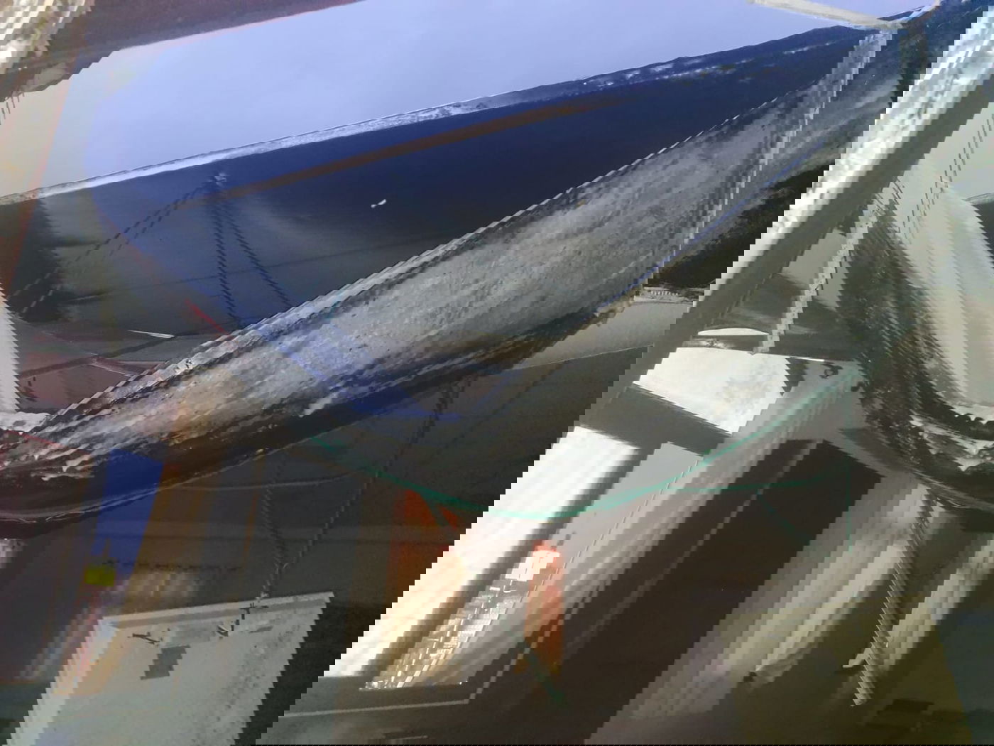 מודיעין עילית: בית כנסת עלה באש; תיעוד