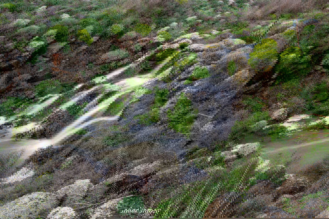 וואו: זרימה מדהימה בנחל דליות ובריכת קשת