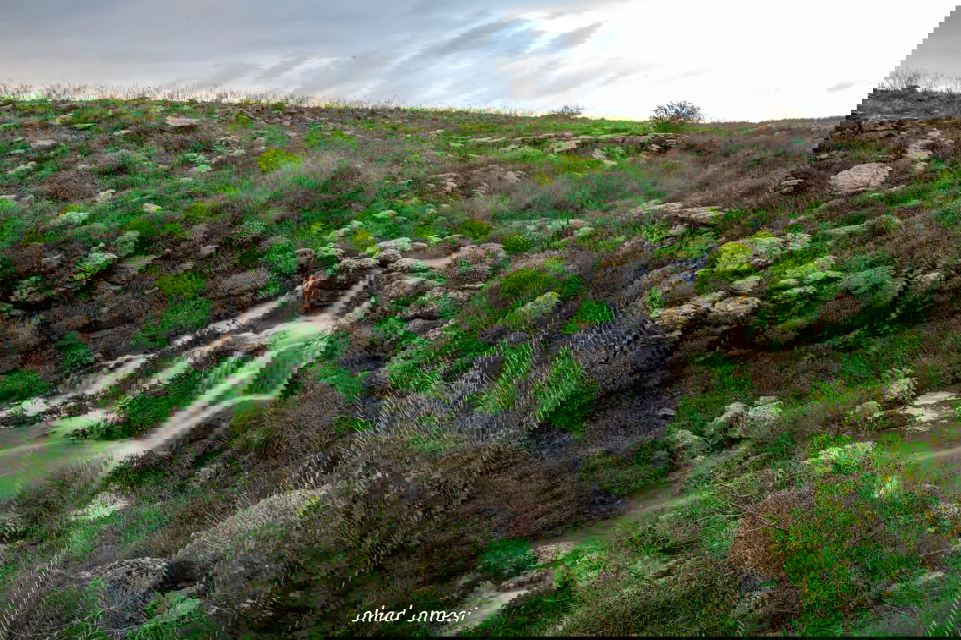 וואו: זרימה מדהימה בנחל דליות ובריכת קשת