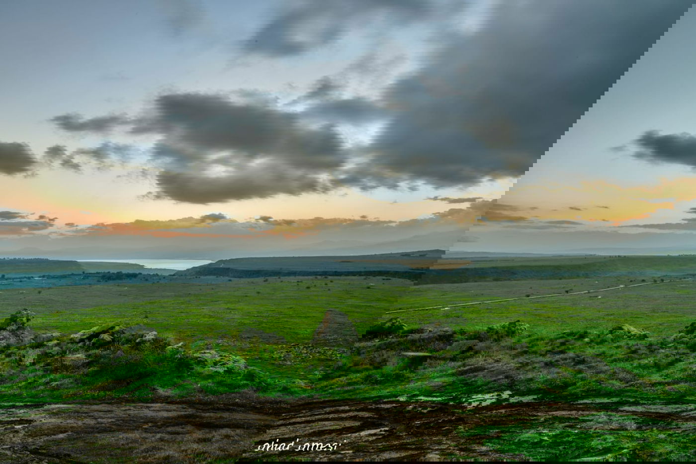 וואו: זרימה מדהימה בנחל דליות ובריכת קשת