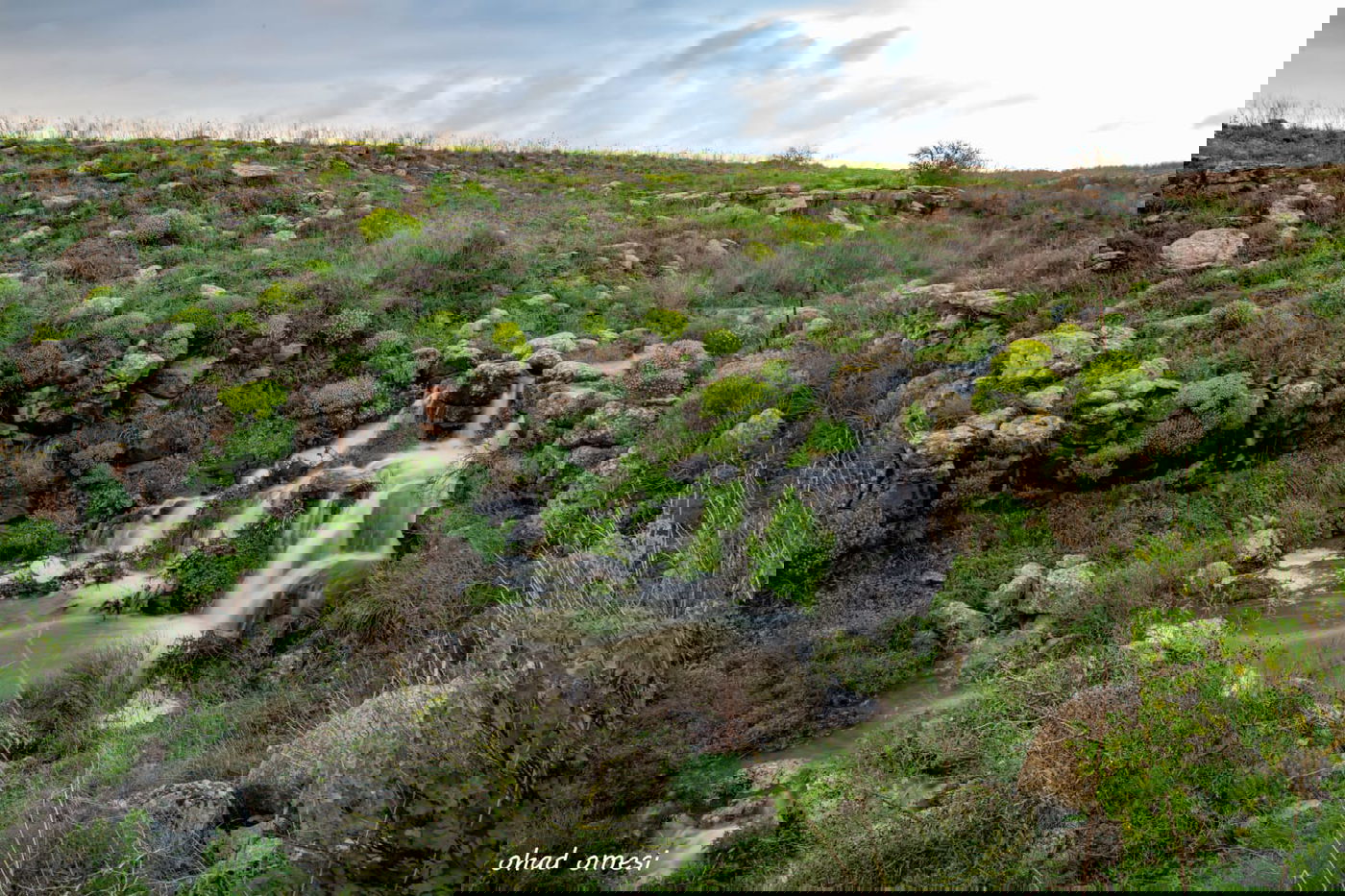 וואו: זרימה מדהימה בנחל דליות ובריכת קשת