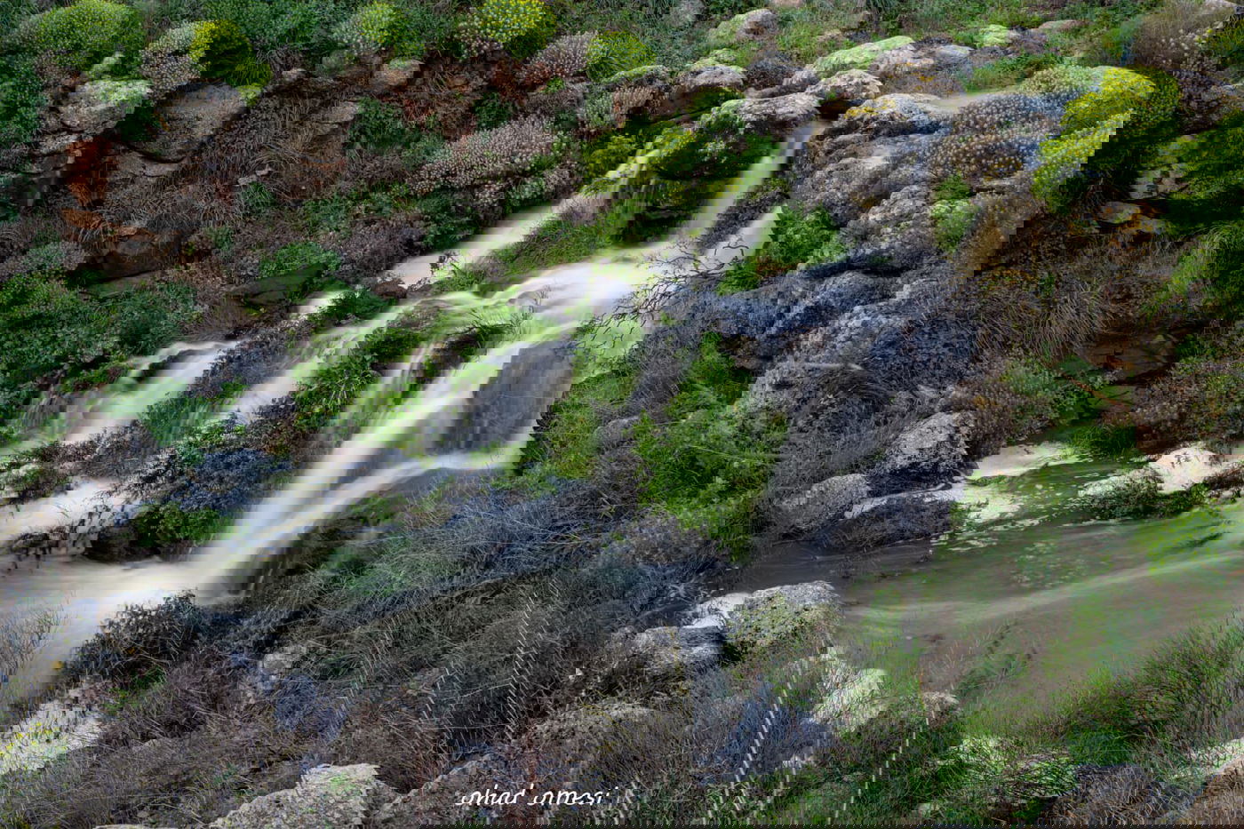 וואו: זרימה מדהימה בנחל דליות ובריכת קשת