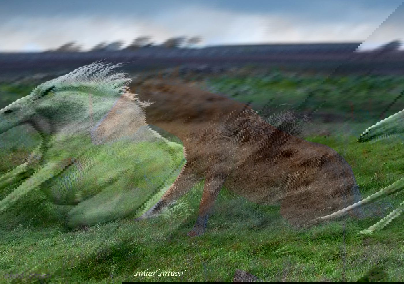 וואו: זרימה מדהימה בנחל דליות ובריכת קשת
