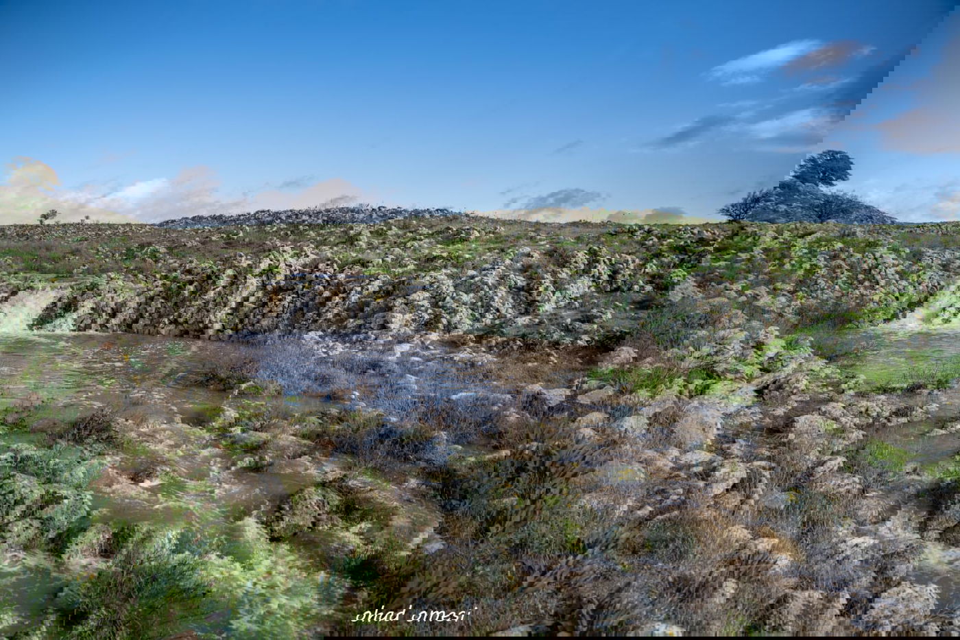 וואו: זרימה מדהימה בנחל דליות ובריכת קשת