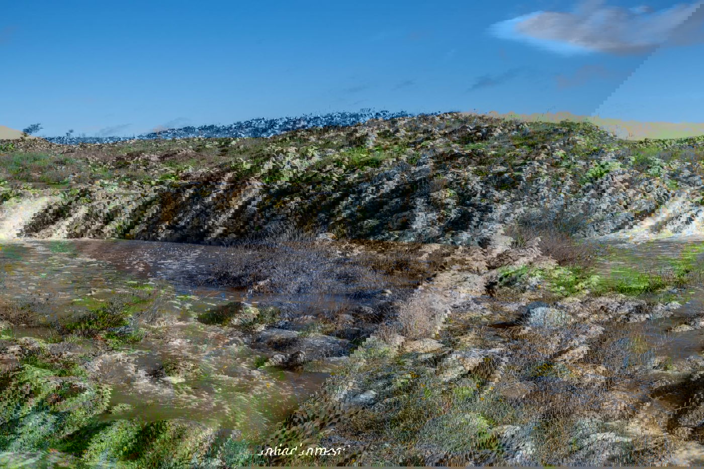 וואו: זרימה מדהימה בנחל דליות ובריכת קשת