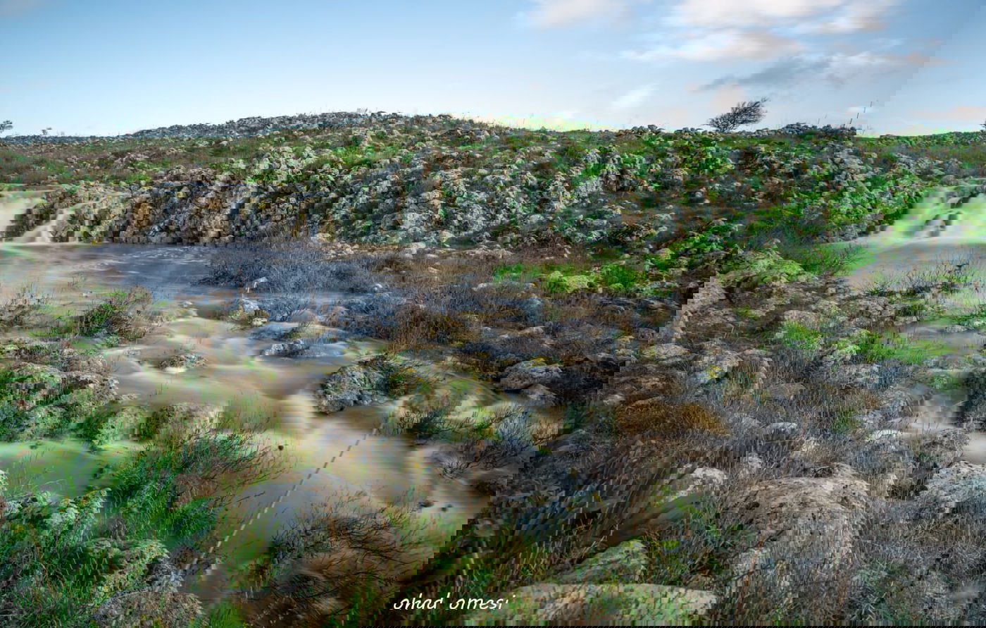 וואו: זרימה מדהימה בנחל דליות ובריכת קשת