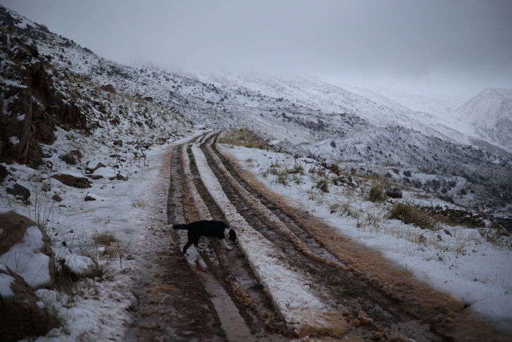 שלג ליד מג'דל שאמס