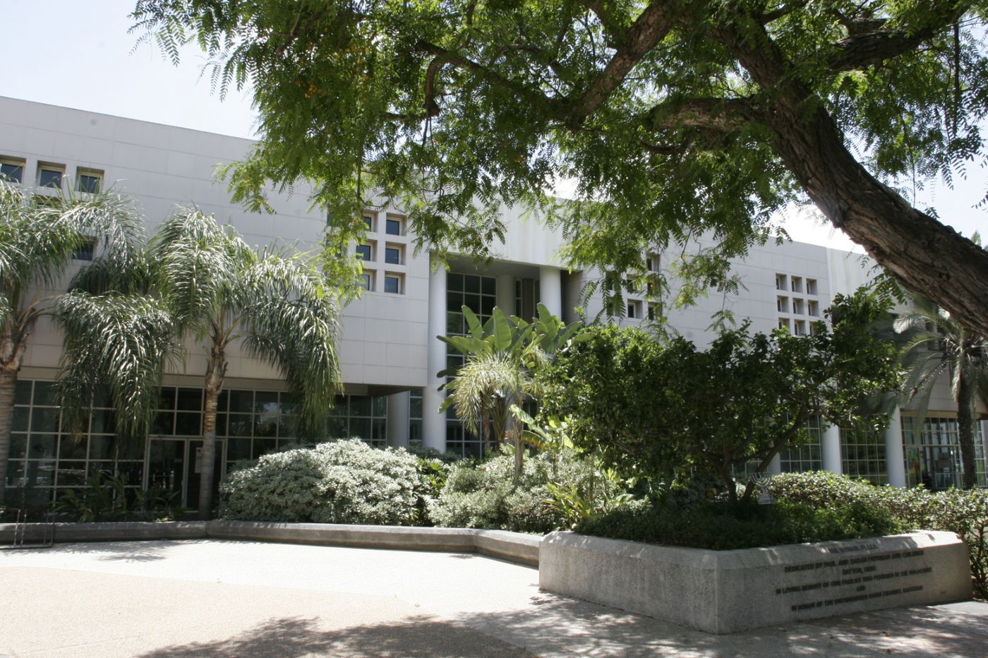 מעל 90% מעבר בבחינות הלשכה בבר אילן