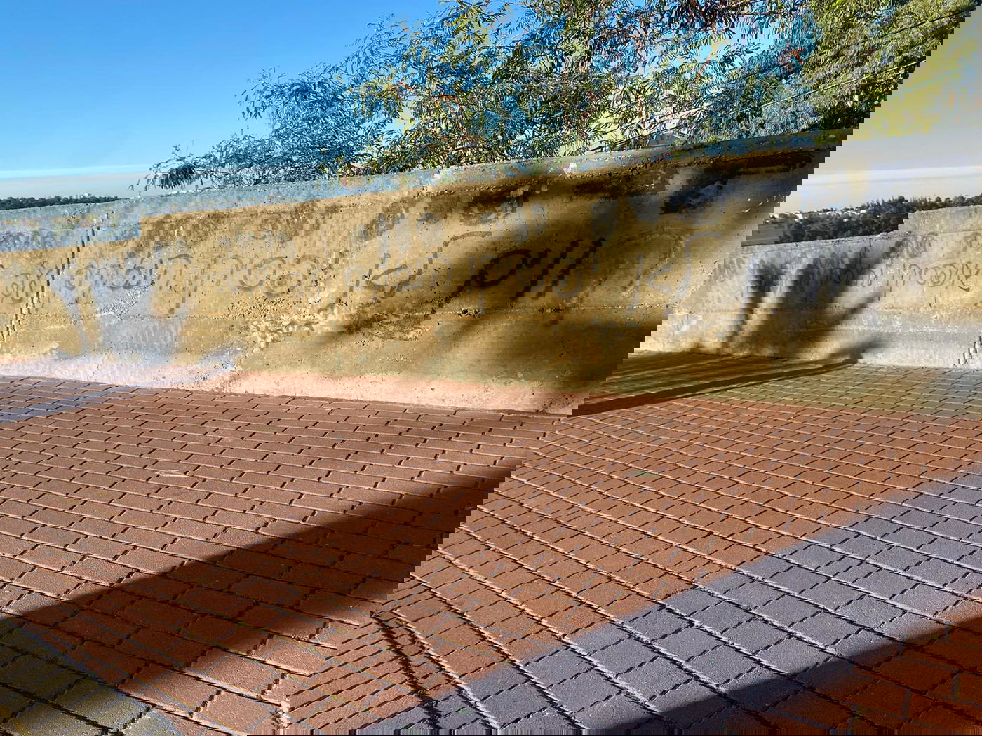 גרפיטי במודיעין עילית: "להרוג נהגים ערבים"