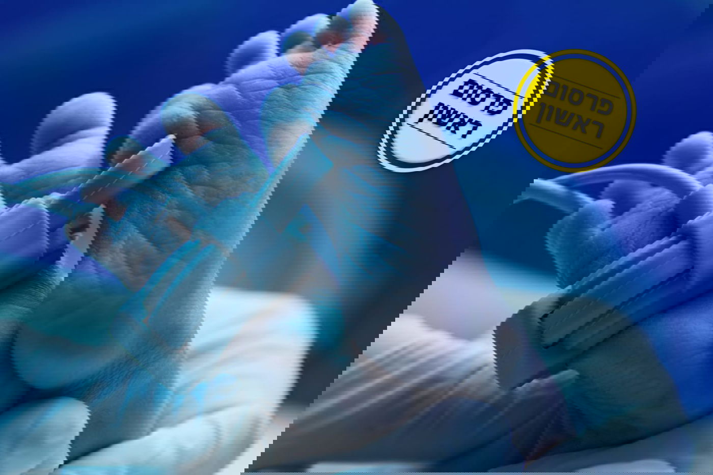 אילוסטרציה