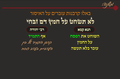 מסכת פסחים, דף ס"ג • סיכום והמחשה של הדף היומי