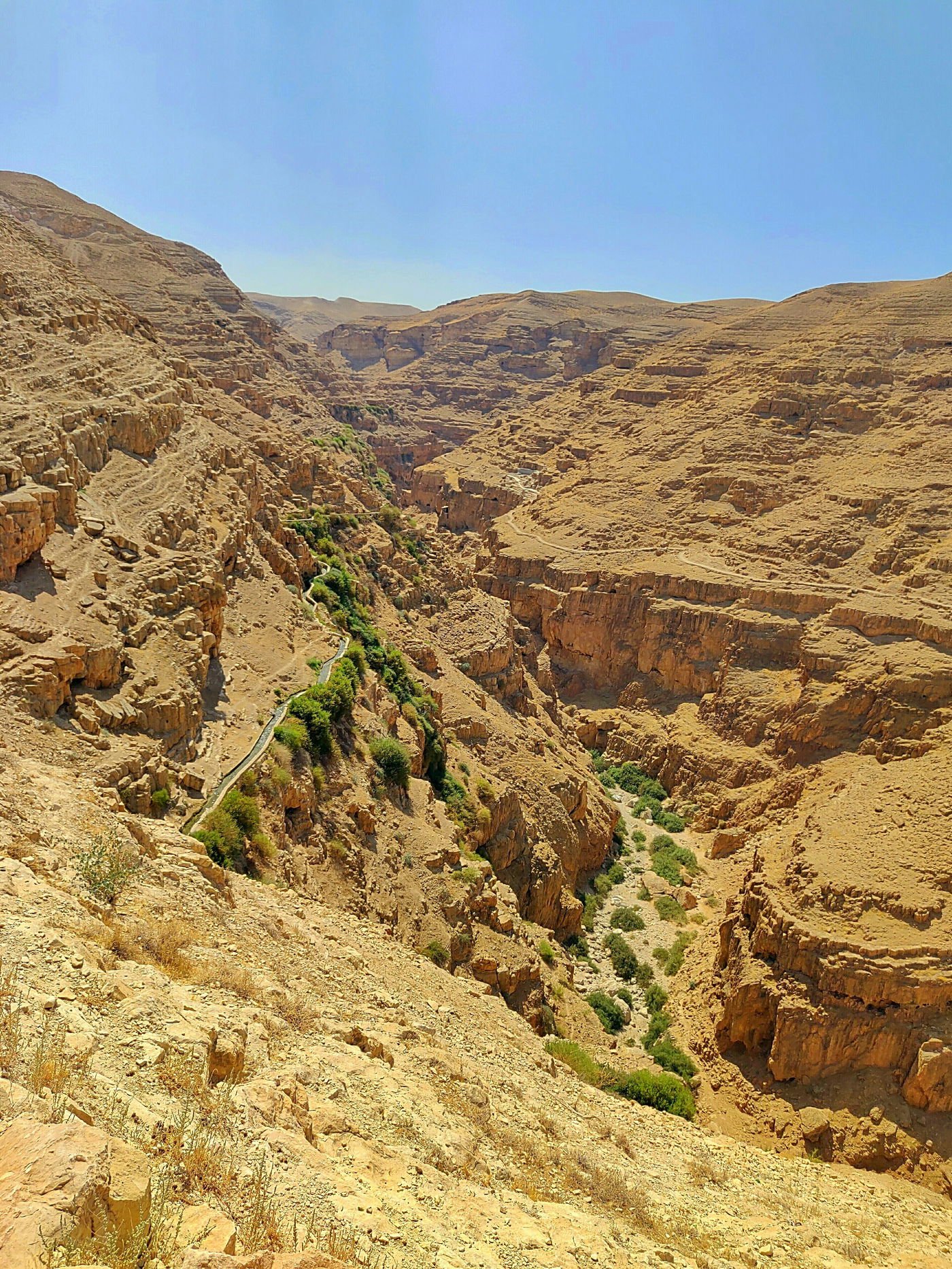 מדרום לצפון: גלריה מרהיבה מרחבי הארץ