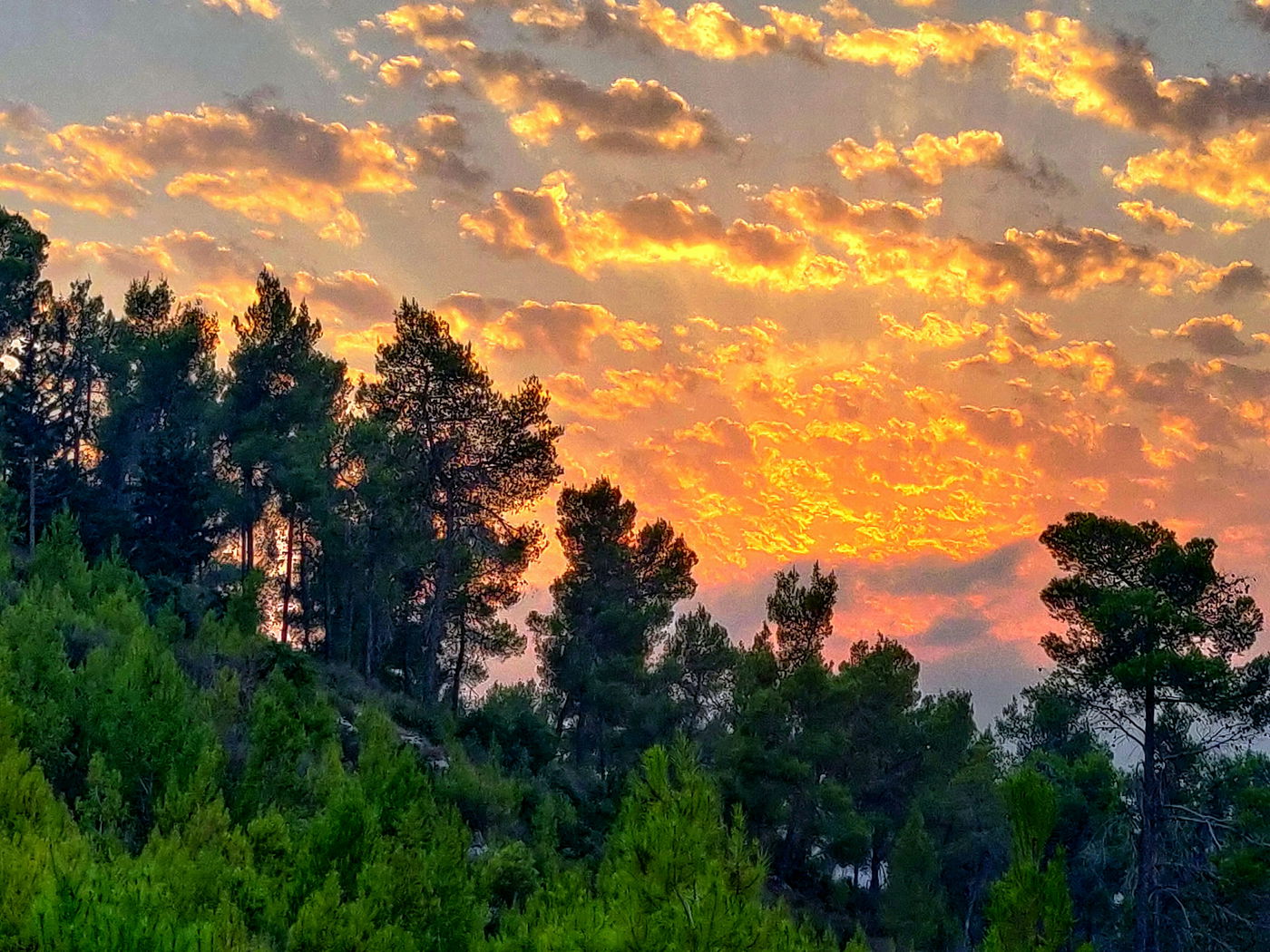 מדרום לצפון: גלריה מרהיבה מרחבי הארץ