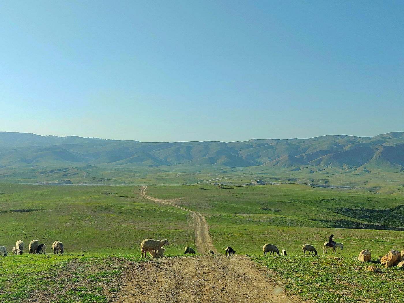 מדרום לצפון: גלריה מרהיבה מרחבי הארץ