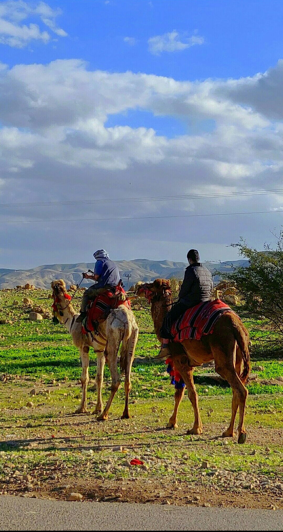 מדרום לצפון: גלריה מרהיבה מרחבי הארץ