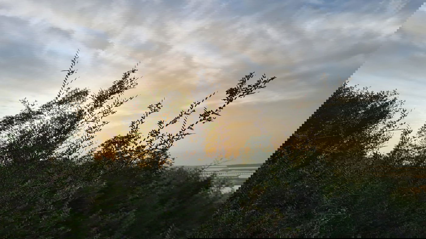 תיעוד עוצר נשימה: השקיעה בהרי הכרמל