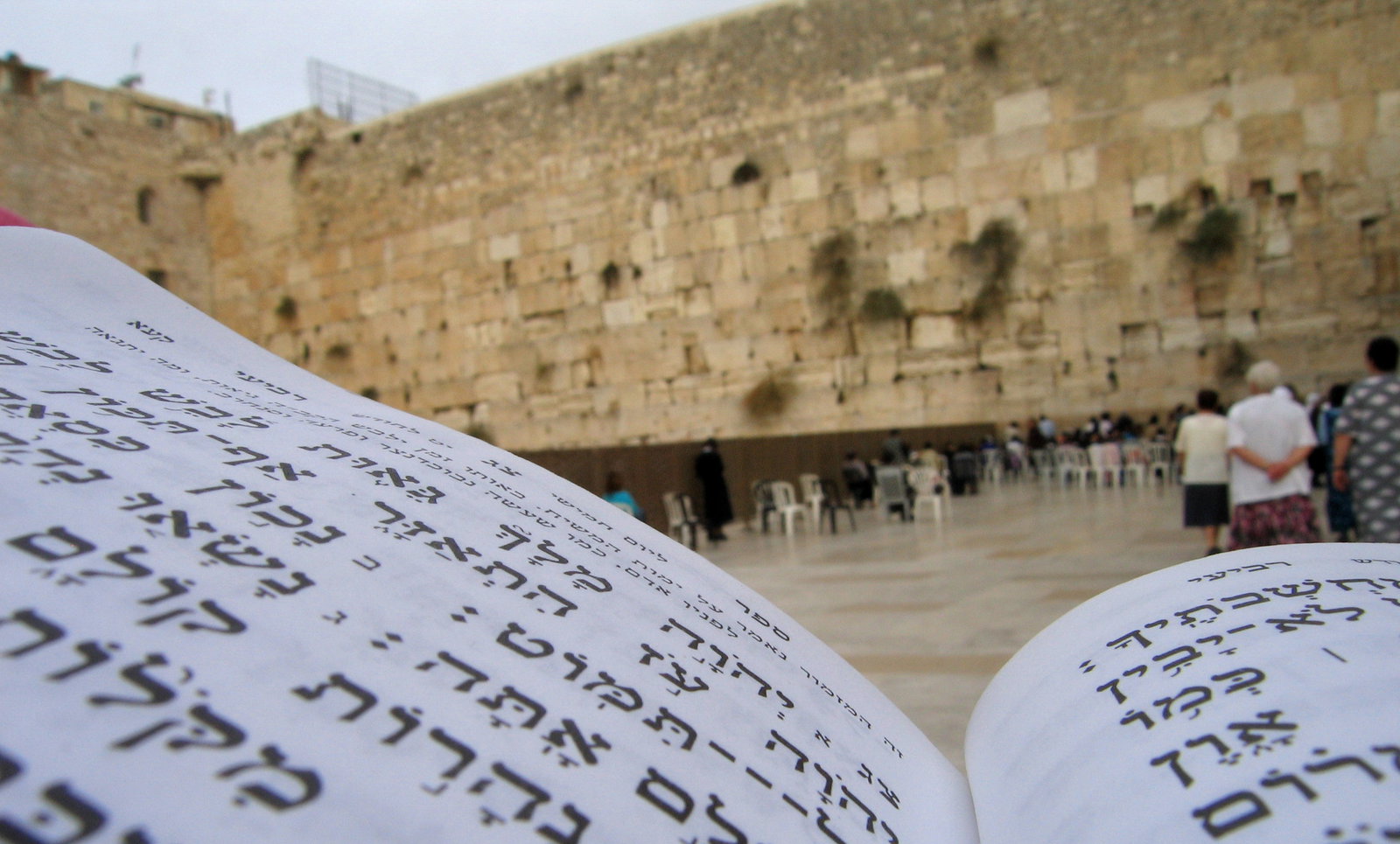 מדוע קריאת פרשת המן היא הסגולה הידועה ביותר לפרנסה? | כיכר השבת