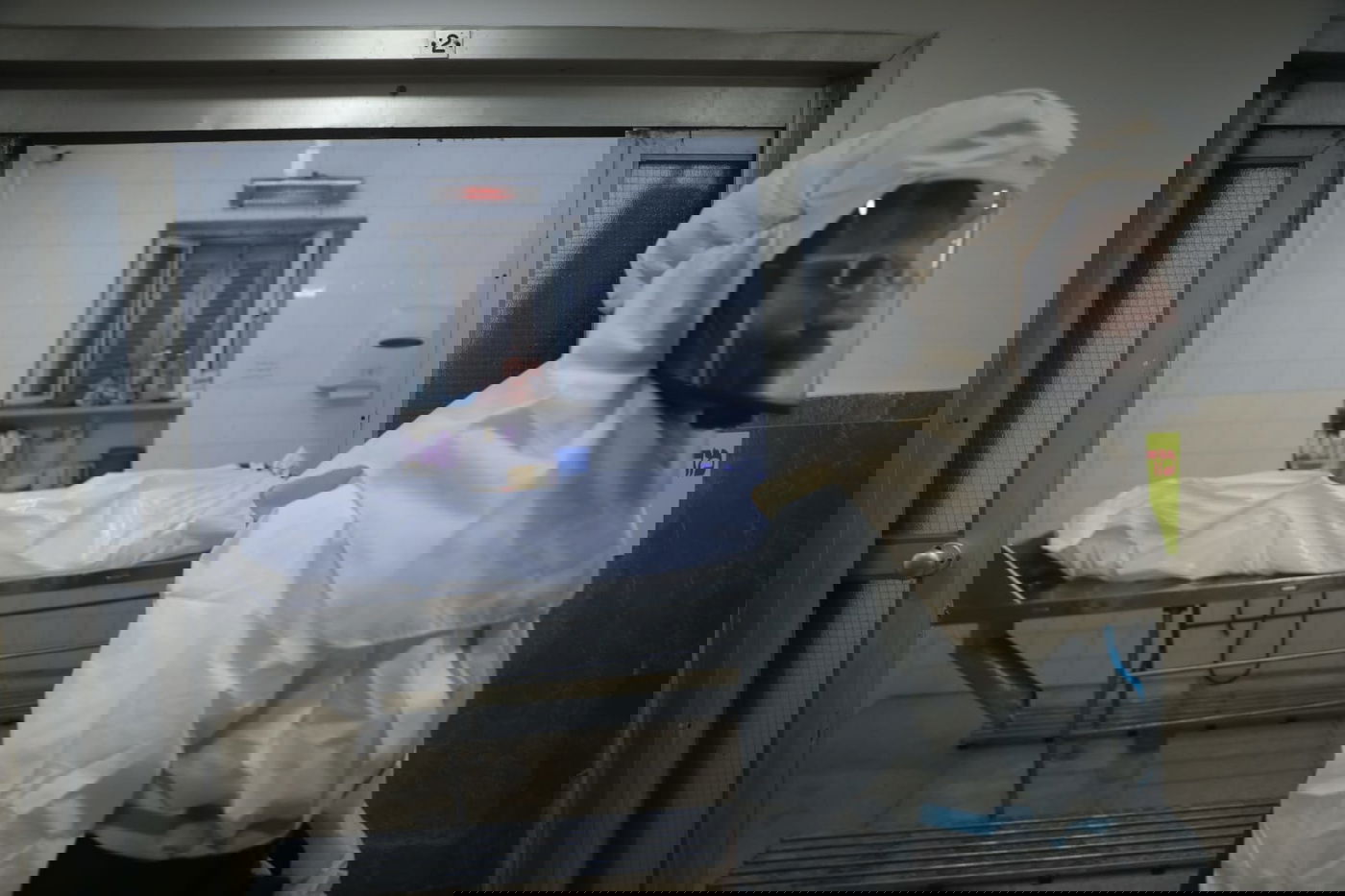 חברה קדישא: "אנשים עושים שמחות ואז הולכים להלוויות"