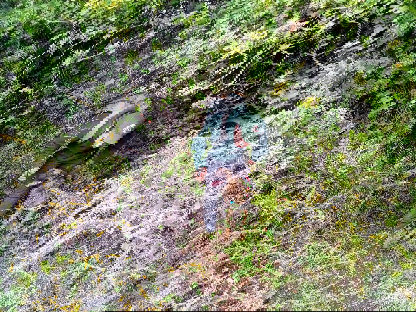 אחרי 620 ימים: חיפושים אחרי הנעדר במירון