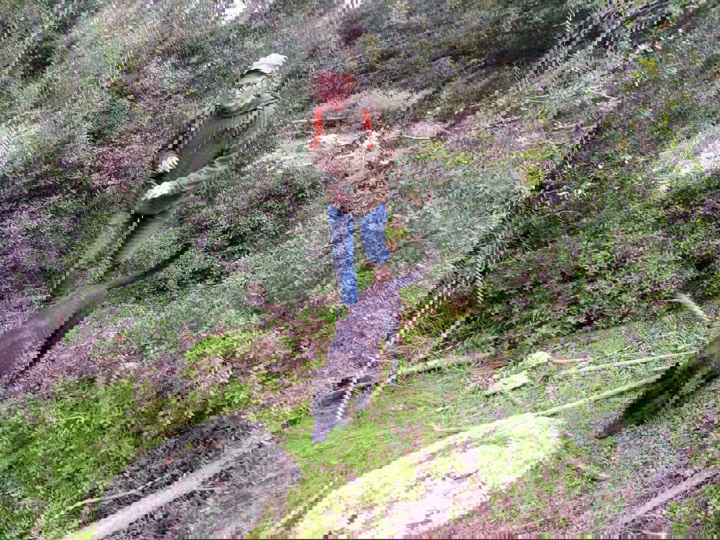 אחרי 620 ימים: חיפושים אחרי הנעדר במירון