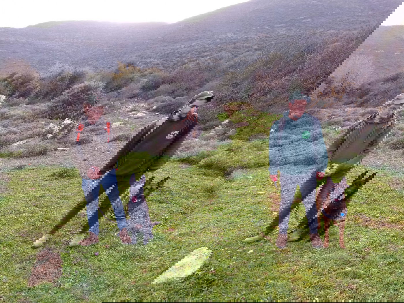 אחרי 620 ימים: חיפושים אחרי הנעדר במירון