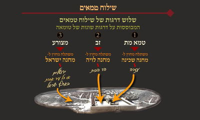 מסכת פסחים, דף ס"ז • סיכום והמחשה של הדף היומי