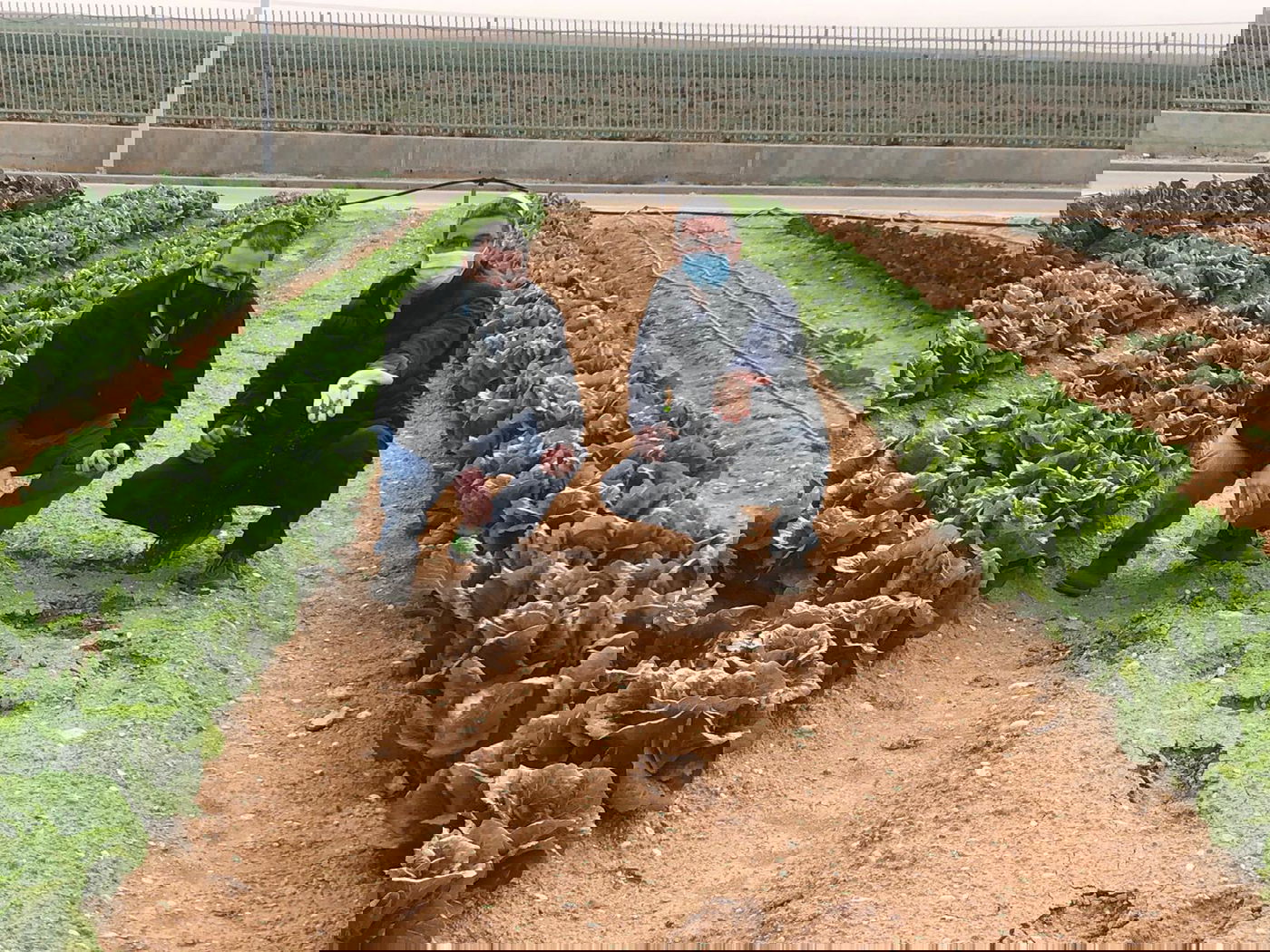 זופניק בכיכר • כל התמונות והנייעס של השבוע