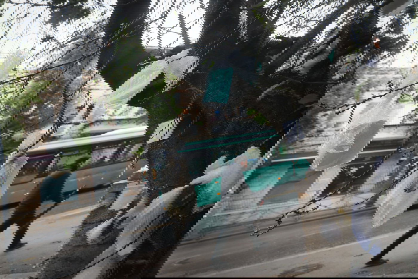 מדוע העץ "מקושט" בעשרות שקיות תלויות