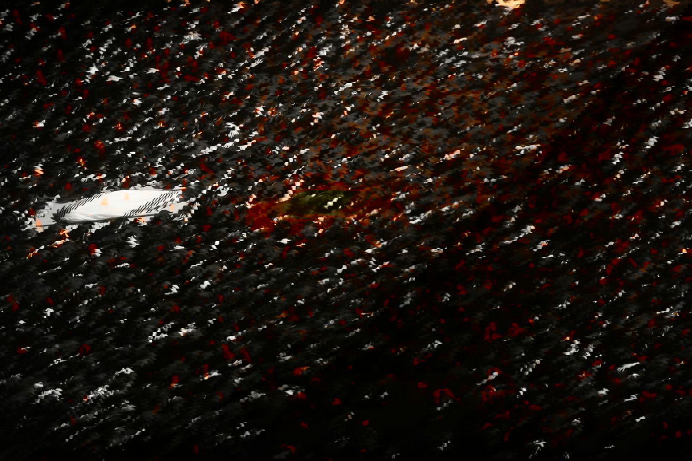 מסע הלווית הגאון רבי יצחק שיינר זצוק"ל • גלריה