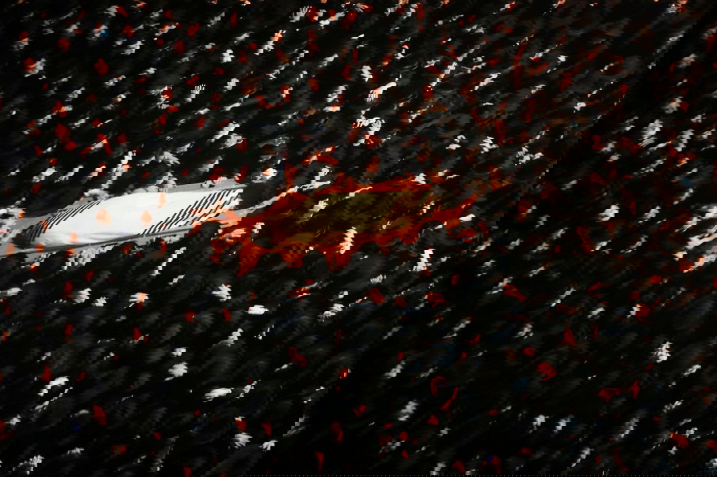 מסע הלווית הגאון רבי יצחק שיינר זצוק"ל • גלריה