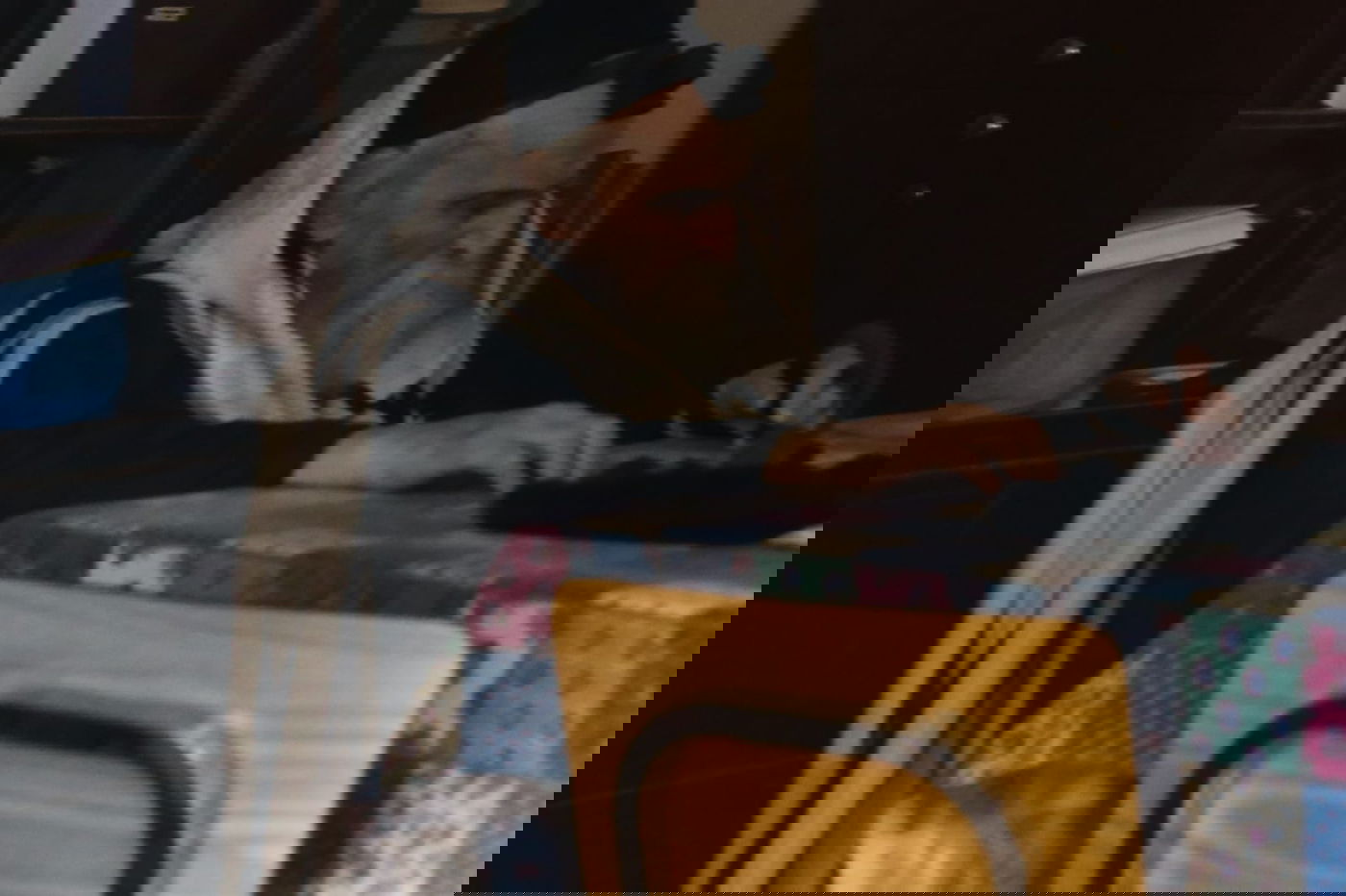 מראות חייו של ראש הישיבה הגרמ"ד סולובייצ'יק זצוק"ל