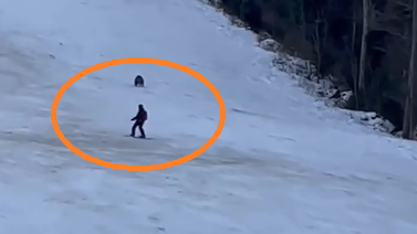 רגעי אימה: דב שחור רדף אחרי גולש סקי